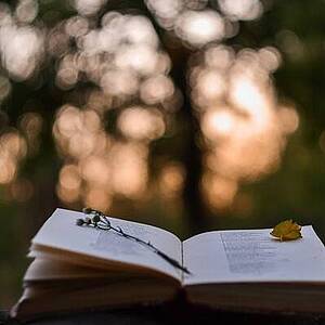 Aufgeschlagenes Buch vor Sonnenuntergang Aufgeschlagenes Buch vor Sonnenuntergang
